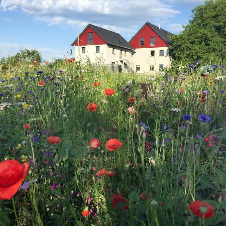 Ferienwohnung Bienenhaeusle In Gruenkraut / Ravensburg Grunkraut Bagian luar foto